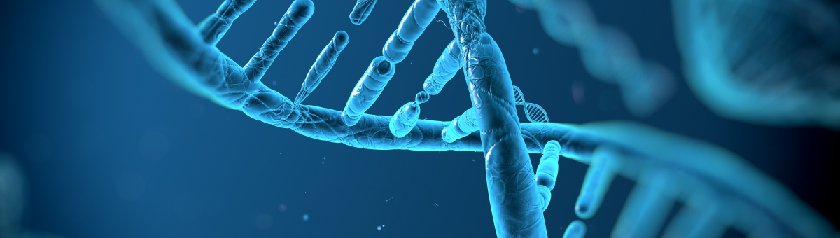 Moleküler Biyoloji Laboratuvarı